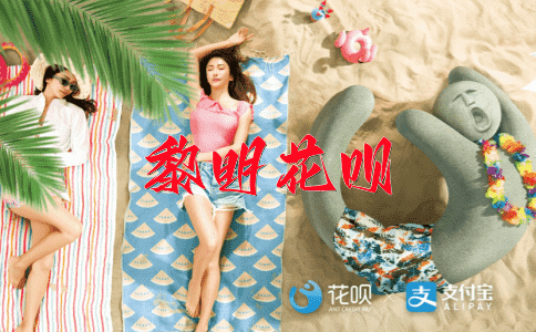 宛如乌龟花呗